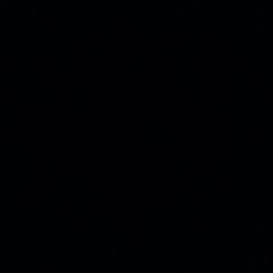 Meet your Posher, Shane